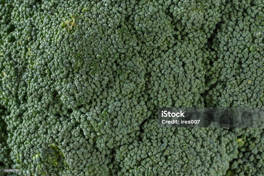 Broccoli inflorescence fresh close up Broccoli inflorescence of fresh green close up Abstract Stock Photo