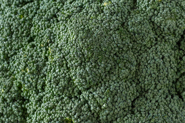 istock Broccoli inflorescence fresh close up 1131195794