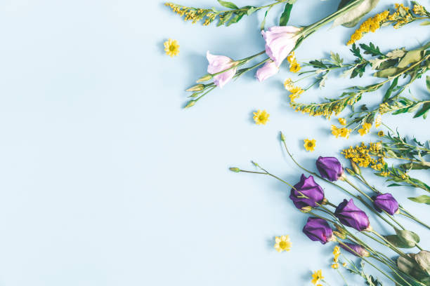istock Flowers composition. Yellow and purple flowers on pastel blue background. Spring, easter concept. Flat lay, top view, copy space 1131195836