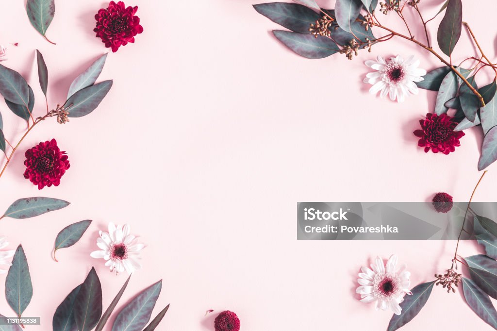 Flowers composition. Eucalyptus leaves and pink flowers on pastel pink background. Mothers day, womens day concept. Flat lay, top view, copy space Flower Stock Photo