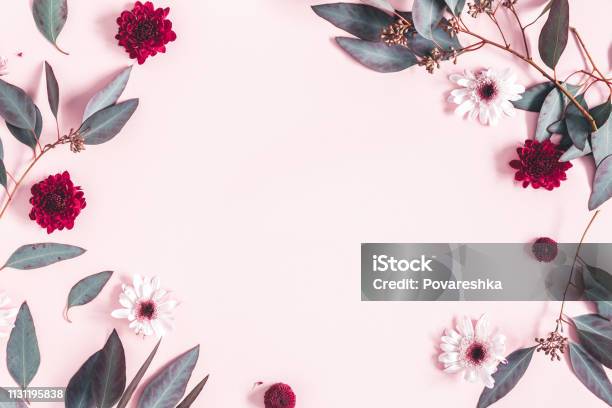 Flowers Composition Eucalyptus Leaves And Pink Flowers On Pastel Pink Background Mothers Day Womens Day Concept Flat Lay Top View Copy Space Stock Photo - Download Image Now