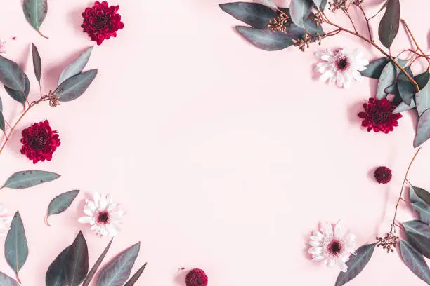 Flowers composition. Eucalyptus leaves and pink flowers on pastel pink background. Mothers day, womens day concept. Flat lay, top view, copy space