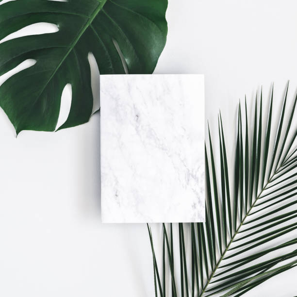 istock Summer composition. Tropical palm leaves, marble paper blank on pastel gray background. Summer concept. Flat lay, top view, copy space, square 1131197006