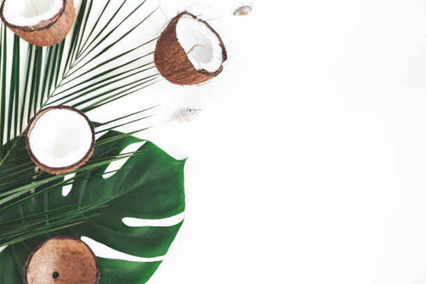 istock Summer composition. Tropical palm leaves, coconut on white background. Summer concept. Flat lay, top view, copy space 1131197200