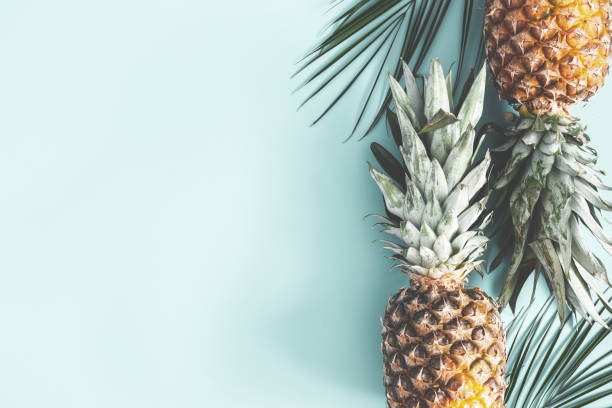Summer composition. Pineapple, palm leaves on pastel blue background. Summer concept. Flat lay, top view, copy space Summer composition. Pineapple, palm leaves on pastel blue background. Summer concept. Flat lay, top view, copy space mint green stock pictures, royalty-free photos & images