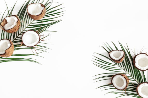 istock Summer composition. Tropical palm leaves, coconut on white background. Summer concept. Flat lay, top view, copy space 1131197277