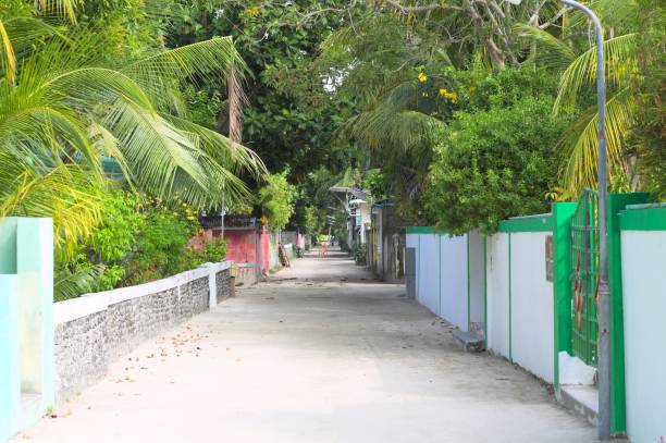 istock A maldivian street with typical buildings and palm trees (Ari Atoll, Maldives) 1131197856