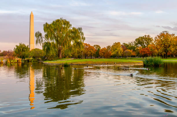 istock Autumn Reflections of the Washington Monument 1131198137