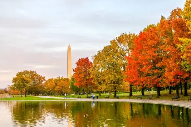Fall colors brighten the shoreline of a pond reflecting them and the Washington Monument in Washington D.C.