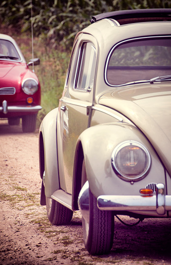 Two vintage Volkswagen cars, a Beetle and Karmann Ghia driving on a country road in between corn fields near the village of Beekbergen in The Netherlands.