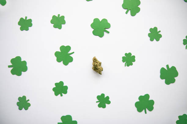 Marijuana Bud against Four and Three Leaf Clovers St Patricks St Pattys Day - Top Down, Centered stock photo