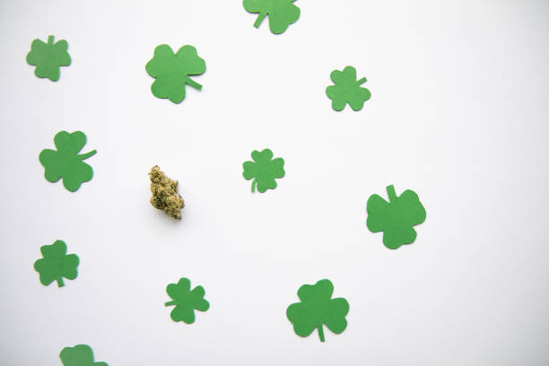 Marijuana Bud against Four and Three Leaf Clovers St Patricks St Pattys Day - Top Down, Left Aligned View stock photo