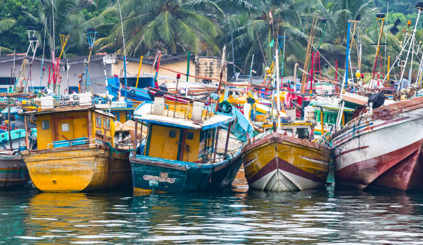 Mirissa harbor. Sri Lanka. Mirrissa harbor. Sri Lanka. southern sri lanka stock pictures, royalty-free photos & images