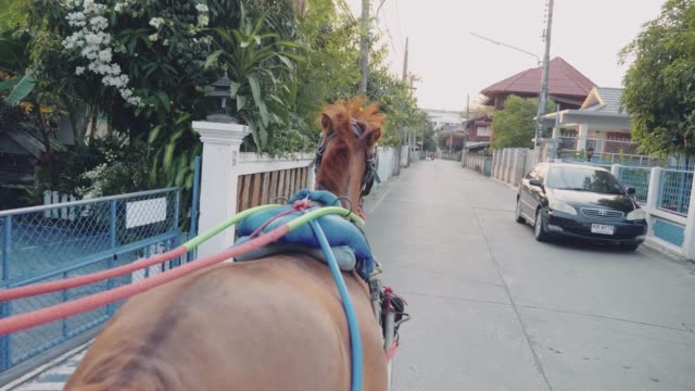 Horse taxi at the streets of Lampang