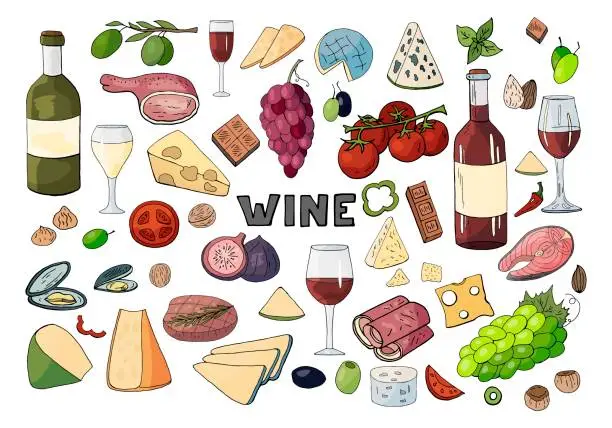 Vector illustration of Bid hand drawn set with wine, different cheese, grape, vegetables isolated on white background. Vector doodle wine set