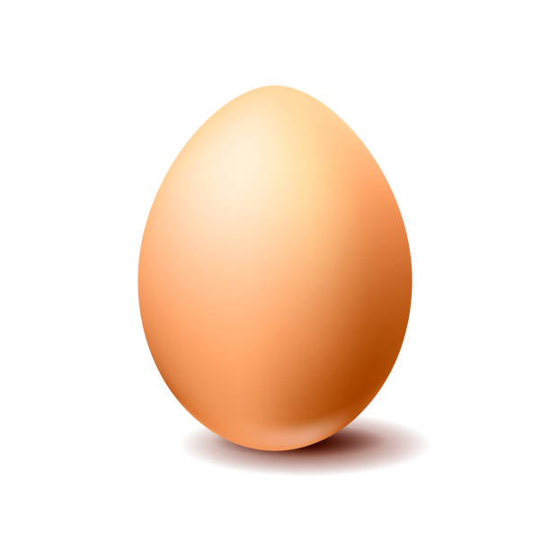 коричневое куриное яйцо на белом фоне - protein isolated shell food stock illustrations