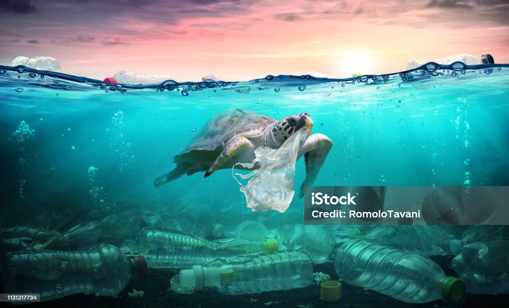 La contaminación plástica en el océano-tortuga come la bolsa de plástico-problema ambiental - Foto de stock de Mar libre de derechos