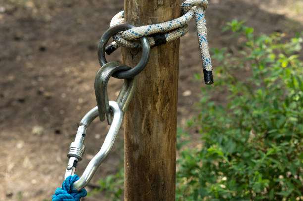istock Cling to the tree. Catch on insurance. Hold on to the tree. 1131220410