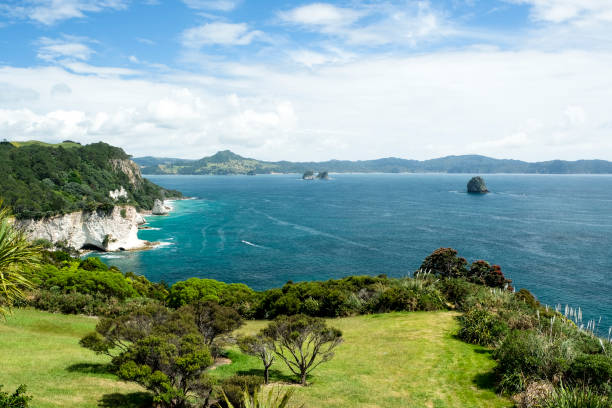 istock Cathedral Cove, Coromandel, New Zealand 1131221049