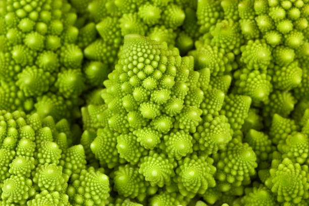 istock Close up of interesting shape roman cauliflower (Brassica oleracera) 1131222996