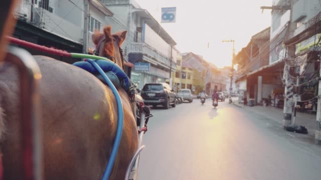 Horse taxi at the streets of Lampang