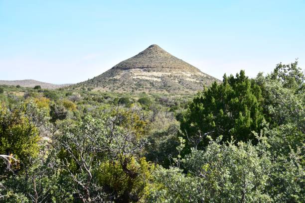 istock Desert Hill, Guadalupe Mts. NP 1131229824