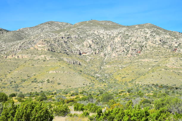 istock Autumn Color in Guadalupe Mts. NP 1131229830