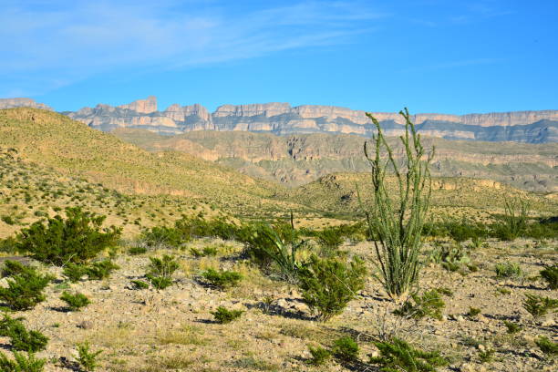 istock Desert and Mountain Landscape of Big Bend NP 1131229988