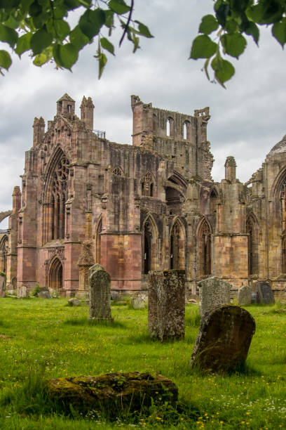 istock Melrose Abbey, Scotland 1131231301