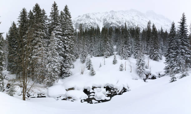 istock Mountain creek in forest, winter landscape 1131232644