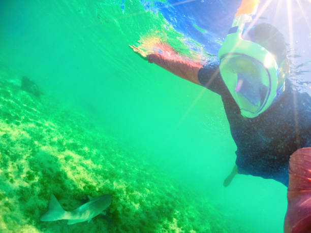 istock Amazing trip to the Caribbean. 1131232694