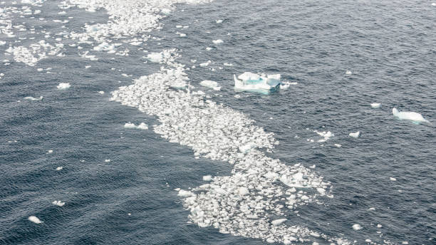 istock Small pieces of ice floating on bay in Antarctica 1131233145