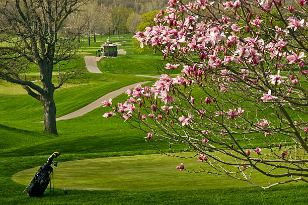 golfplatz im frühling - golf landscape golf course tree stock-fotos und bilder