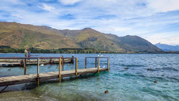 istock That Wanaka Tree and Lake in New-Zealand 1131234738