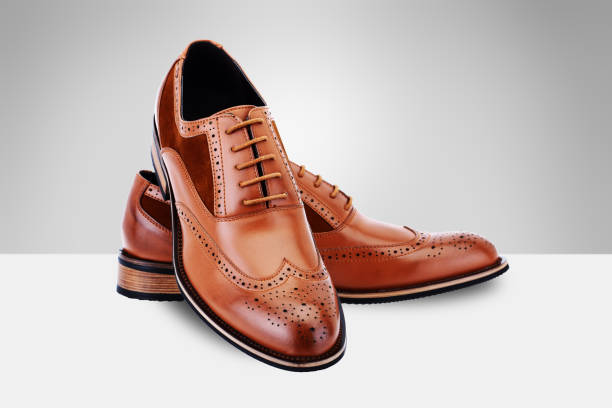 Brown men's shoes on split background Brown men's shoes on split background brogue photos stock pictures, royalty-free photos & images