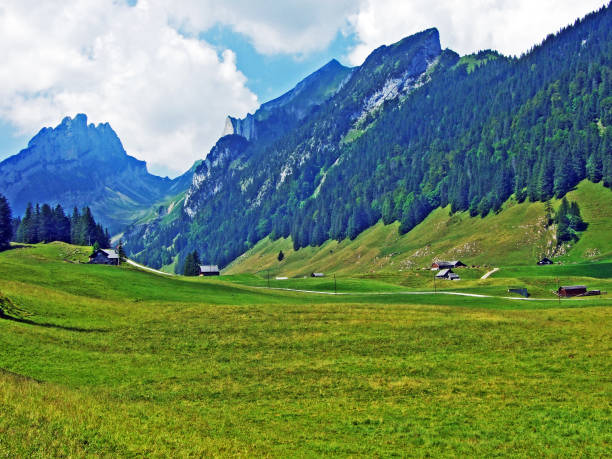 istock Alpine pastures and meadows on the slopes of Alpstein mountain range 1131235507