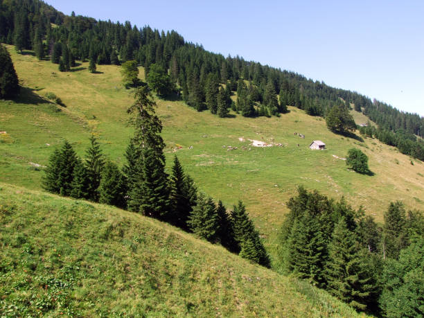 istock Alpine pastures and meadows on the slopes of Alpstein mountain range 1131235533