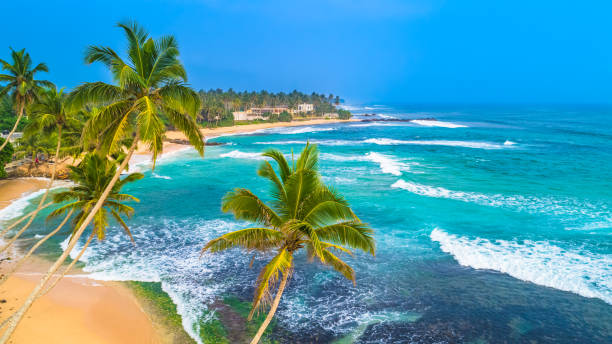 powietrzny. widok na plażę w unawatuna, sri lanka. - sri lanka zdjęcia i obrazy z banku zdjęć