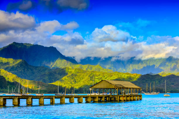 istock Island of Kauai in Hawaii 1131236018