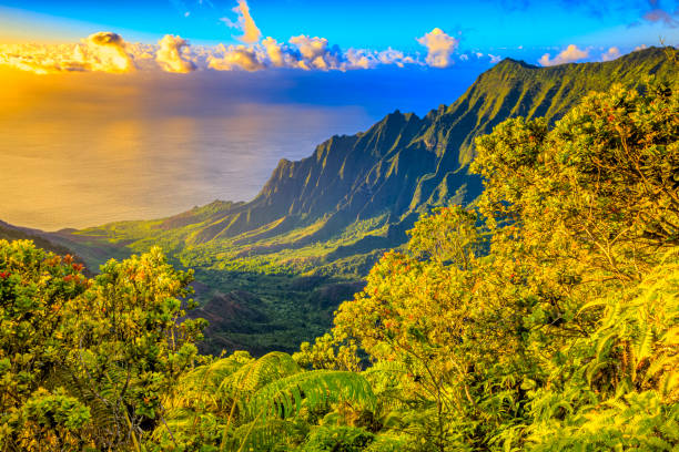 Kalalau Lookout on the Na Pali Coast on the Island of Kauai