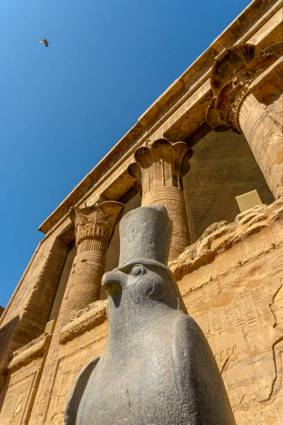istock Ancient horus statue and reliefs of Edfu temple in Edfu. Egypt 1131237176