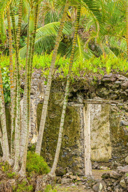 istock Island of Kauai in Hawaii 1131237394