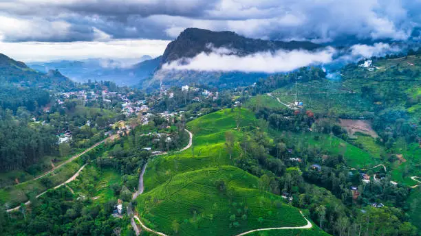 Ella is a beautiful small town on the southern edge of Sri Lanka.