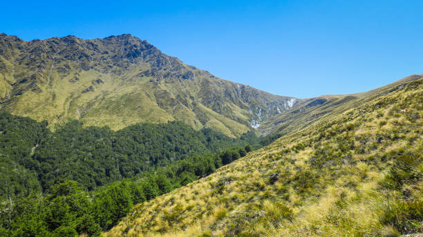 istock Hikiing Ben Lomond in Queenstown 1131238658