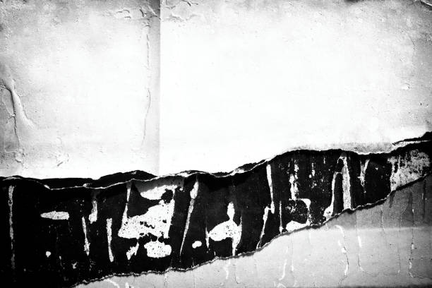 istock Blank white black old ripped torn paper crumpled creased posters grunge textures backdrop backgrounds placard 1131241472