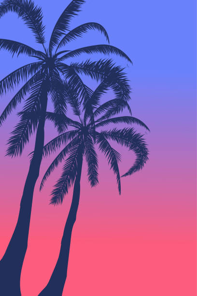 тропический пейзаж морской пейзаж летний фон. силуэт пальм. векторная иллюстрация. - celebration silhouette back lit sunrise stock illustrations