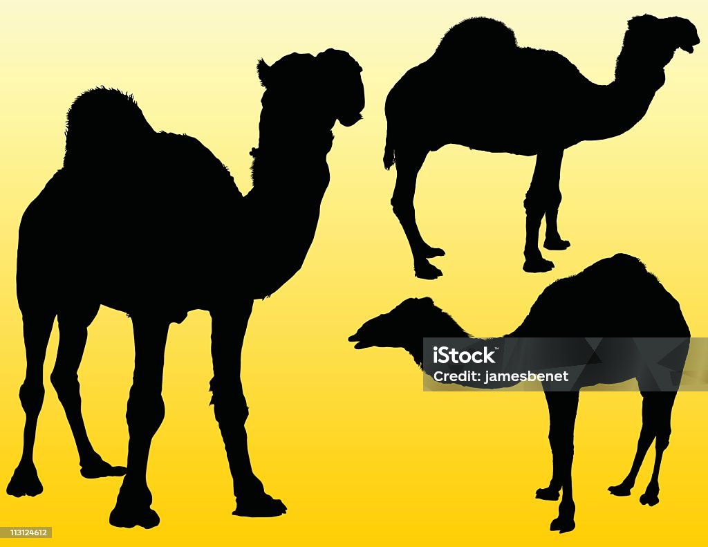 Três Camels (Vector - Royalty-free Animal arte vetorial