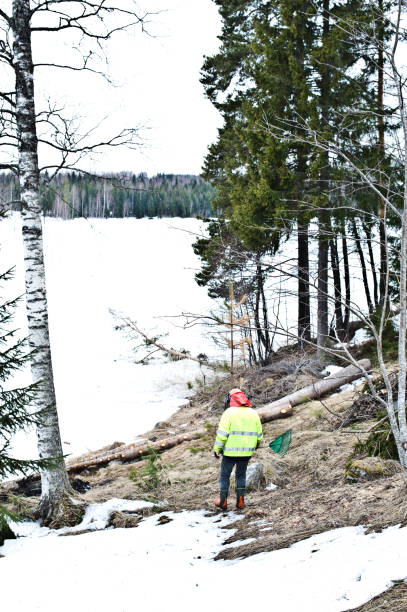 istock Elderly lumberman in the field 1131247575