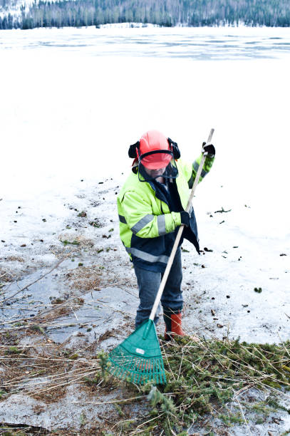 istock Elderly lumberman in the field 1131247922