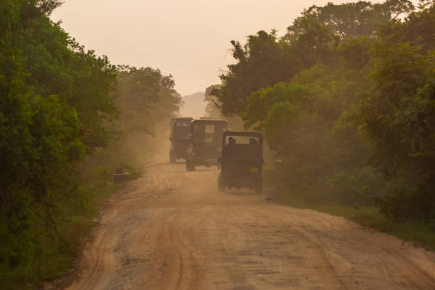 istock Vehicles with tourists. Yala National Park. Sri Lanka. 1131256721